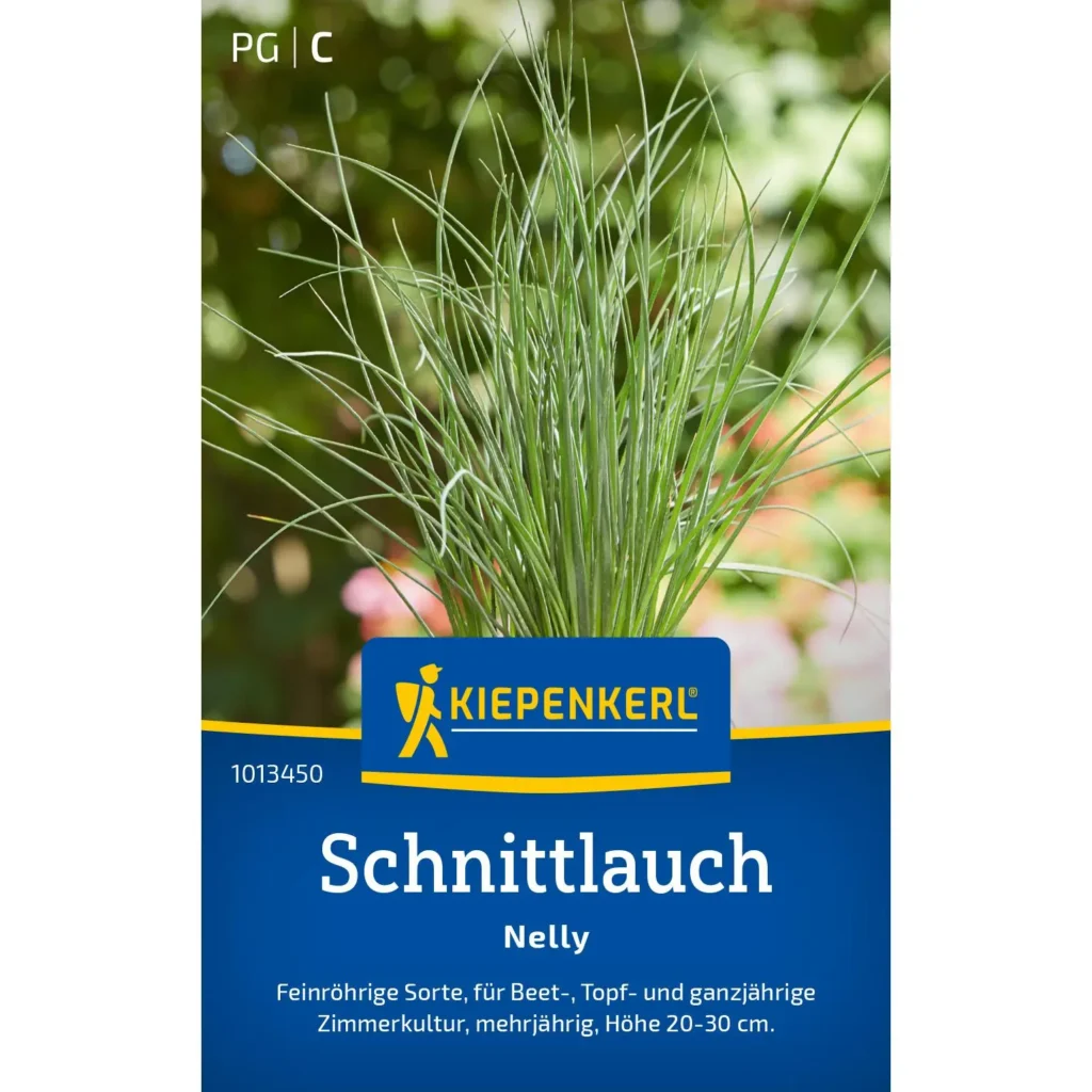 Schnittlauch Nelly, aromatisch und pflegeleicht, ideal für frische Küche, 30 cm groß, robuste Pflanzen in Bio-Qualität.