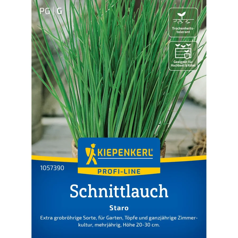 Schnittlauch Staro von Kiepenkerl, aromatisch und vital, ideal für frische Küchenkräuter im Garten oder auf dem Balkon.