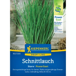 Schnittlauchsamen Staro