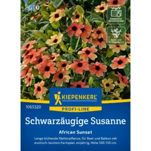 Schwarzäugige Susanne-Samen African Sunset