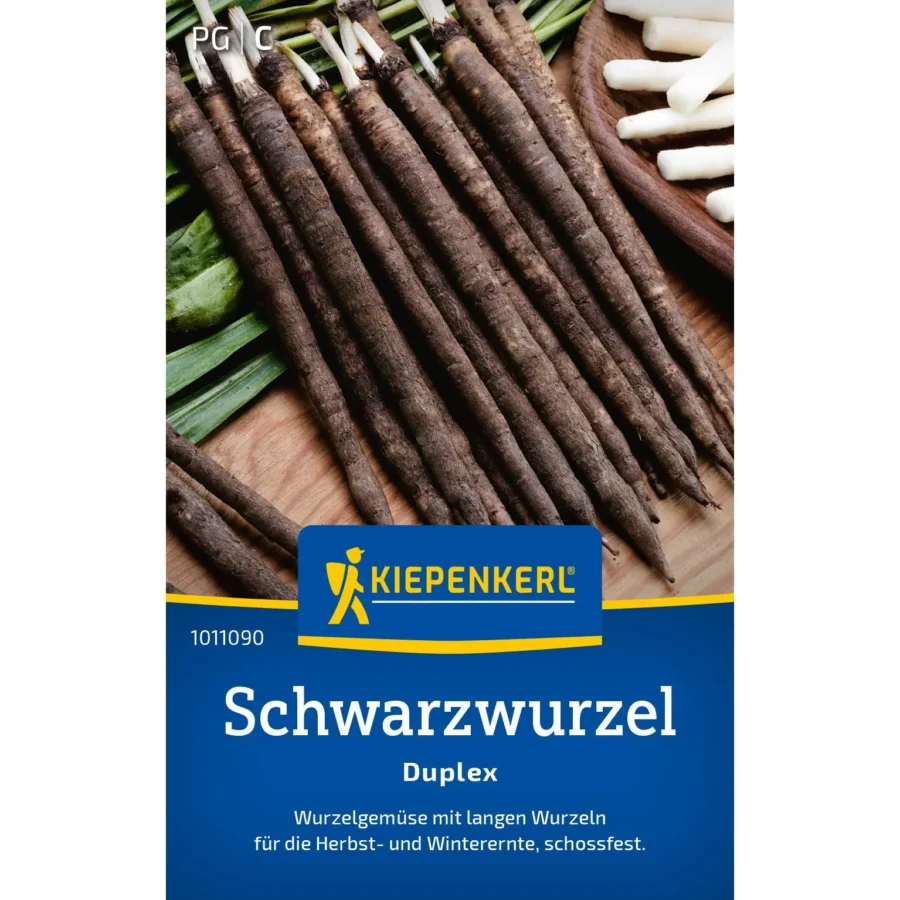 Kiepenkerl Schwarzwurzel Duplex, gesunde, ertragreiche Pflanze für den heimischen Garten, ideal zum Kochen und für den Vitaminkick.