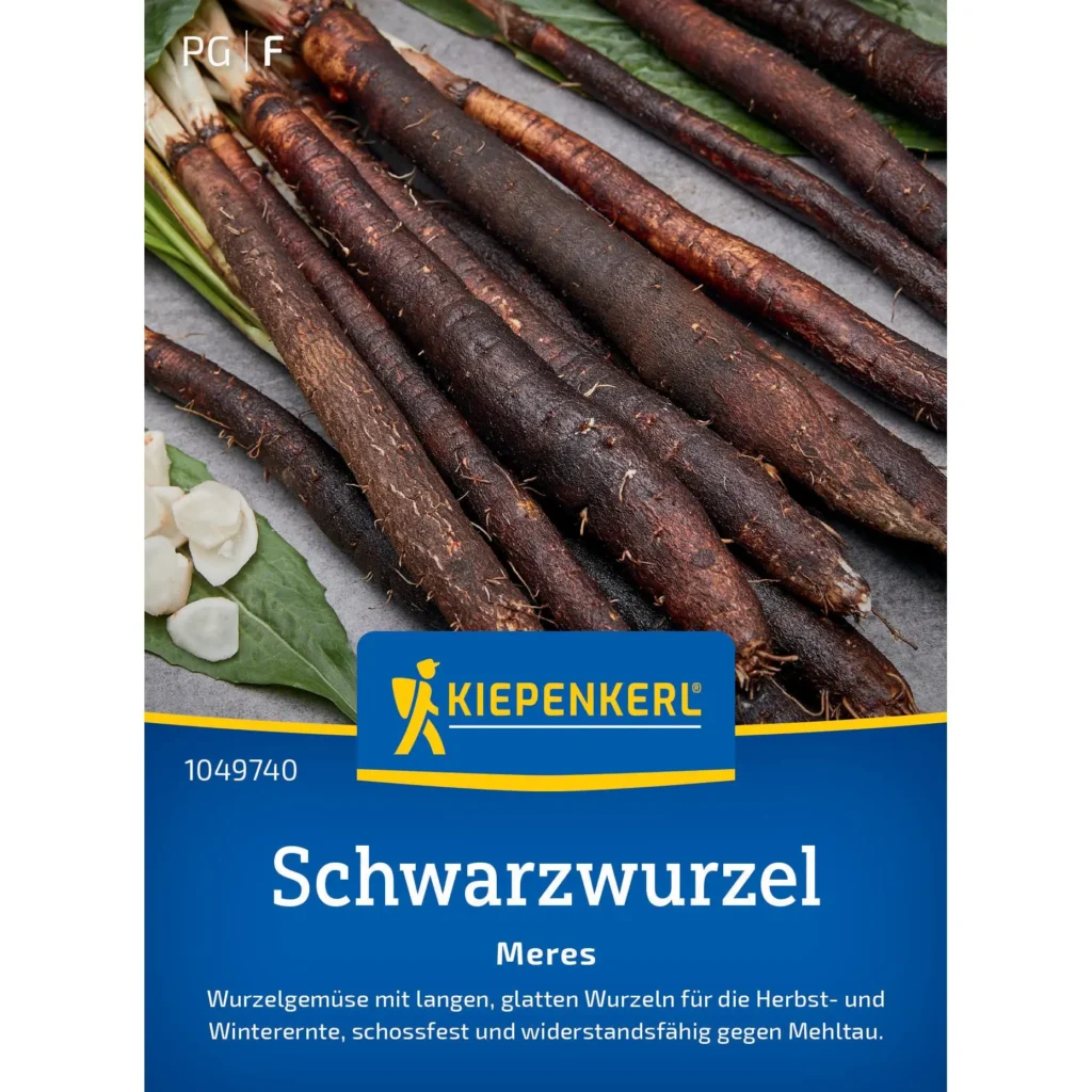 Schwarzwurzelsamen Meres von Kiepenkerl, ideal für aromatische Gemüsegärten, hohe Keimrate und robustes Wachstum.