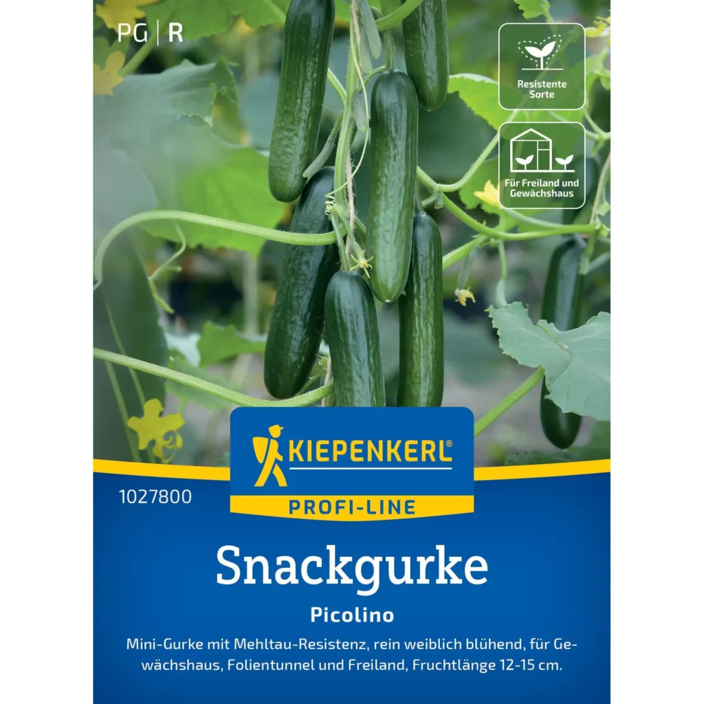Kiepenkerl Snackgurke Picolino F1, ertragreiche Minigurke für den Anbau im Garten oder auf dem Balkon, ideal für frische Snacks.