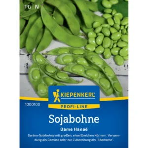 Sojabohnensamen Dame Hanaé