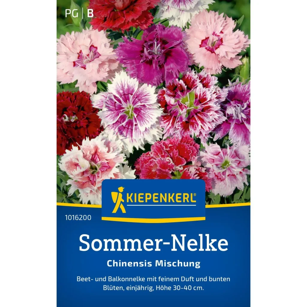 Kiepenkerl Sommernelke Chinensis Mischung, bunte Blumenvielfalt für Garten & Balkon, ideal für sommerliche Akzente.