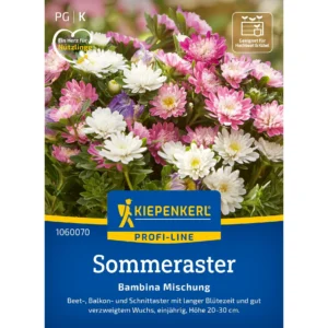Sommerastersamen Bambina Mischung