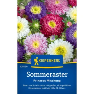 Sommerastersamen Prinzess Mischung