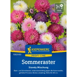 Sommerastersamen Standy Mischung