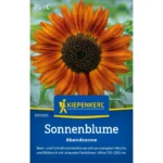 Sonnenblumensamen Abendsonnne