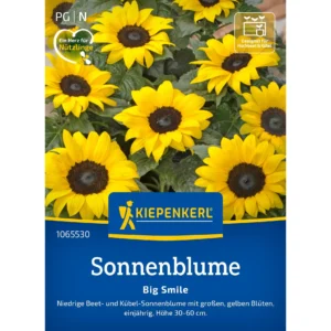 Sonnenblumensamen Big Smile