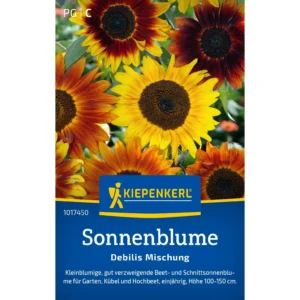Sonnenblumensamen Debilis Mischung