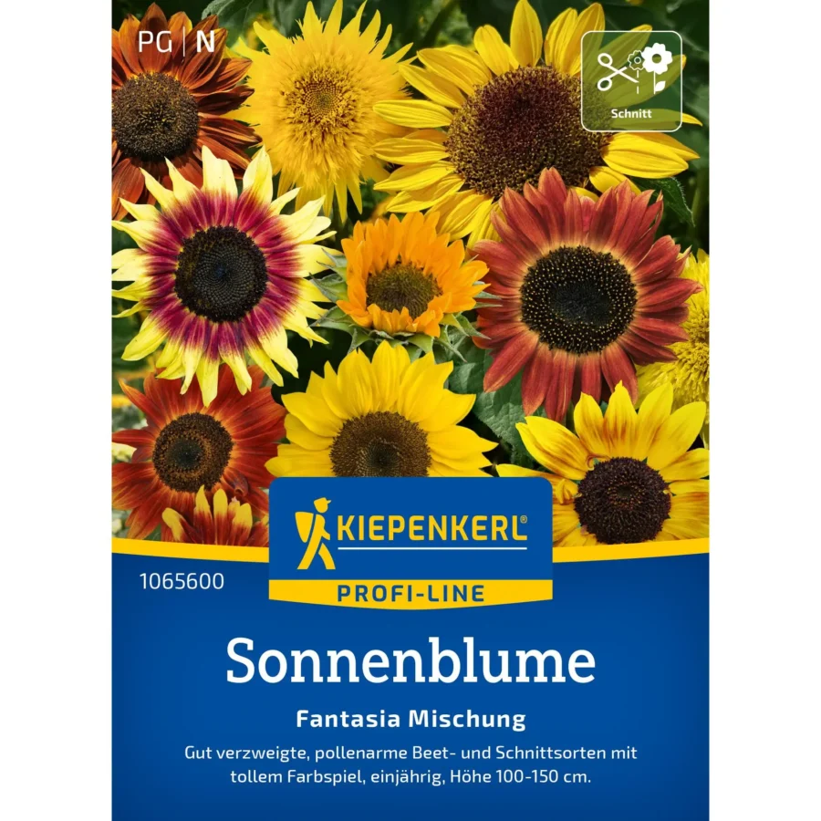 Kiepenkerl Sonnenblumen Fantasia Mischung F1, leuchtende Farben für den Garten, ideal für Balkon und Beet, robust und pflegeleicht.