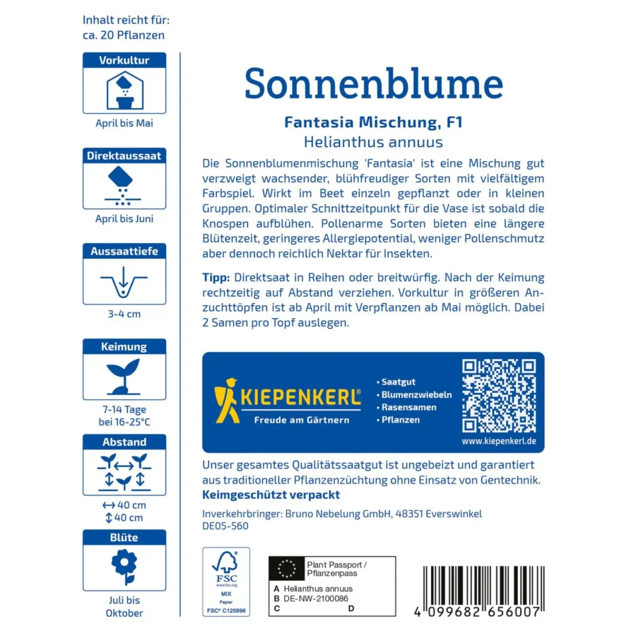 Kiepenkerl Sonnenblume Fantasia Mischung F1, lebendige Blüten in leuchtenden Farben, ideal für bunte Gartenbeete, ca. 50-150 cm hoch.