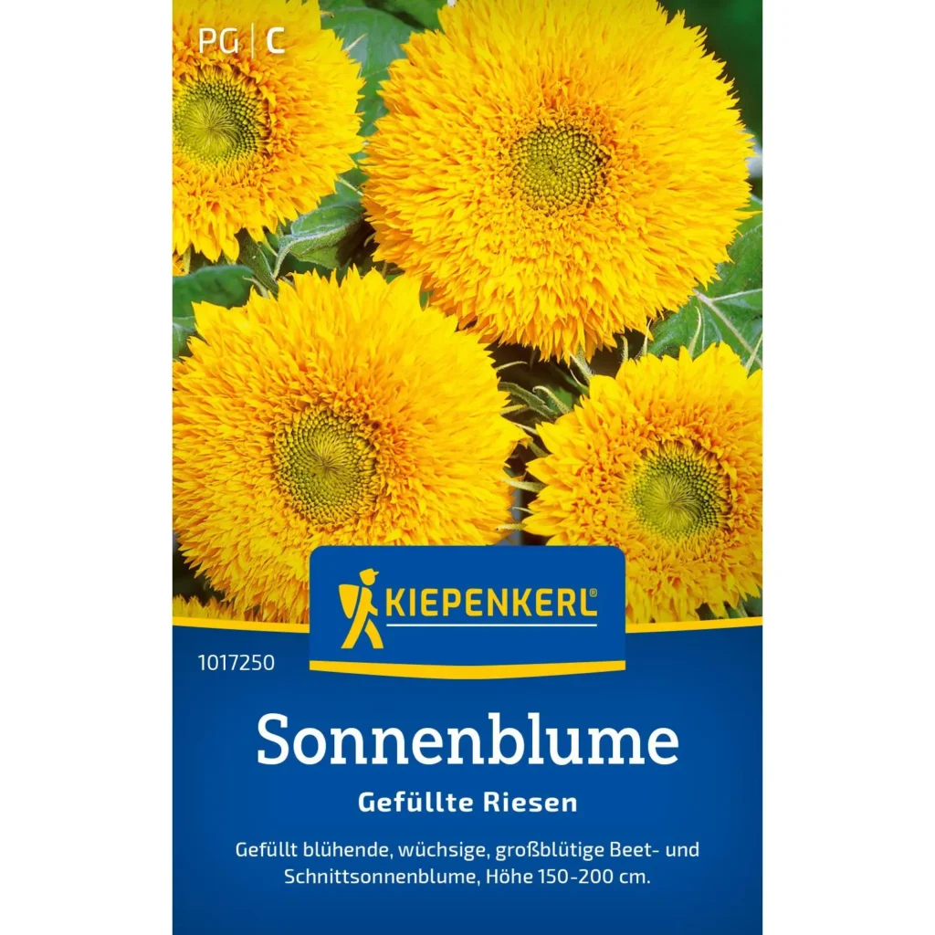 Kiepenkerl Sonnenblume gefüllt, strahlend gelb, ideal für bunte Gartenarrangements, hohe Blüten bis 1,5 m, perfekte Wahl für Sonnenliebhaber.