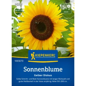 Sonnenblumensamen Gelber Diskus