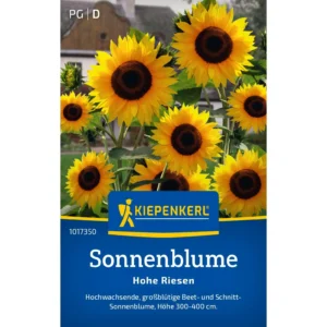 Sonnenblumensamen Hohe Riesen
