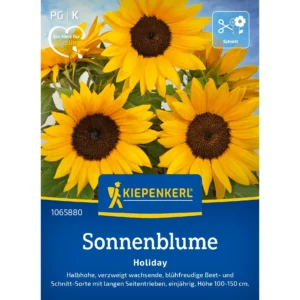 Sonnenblumensamen Holiday
