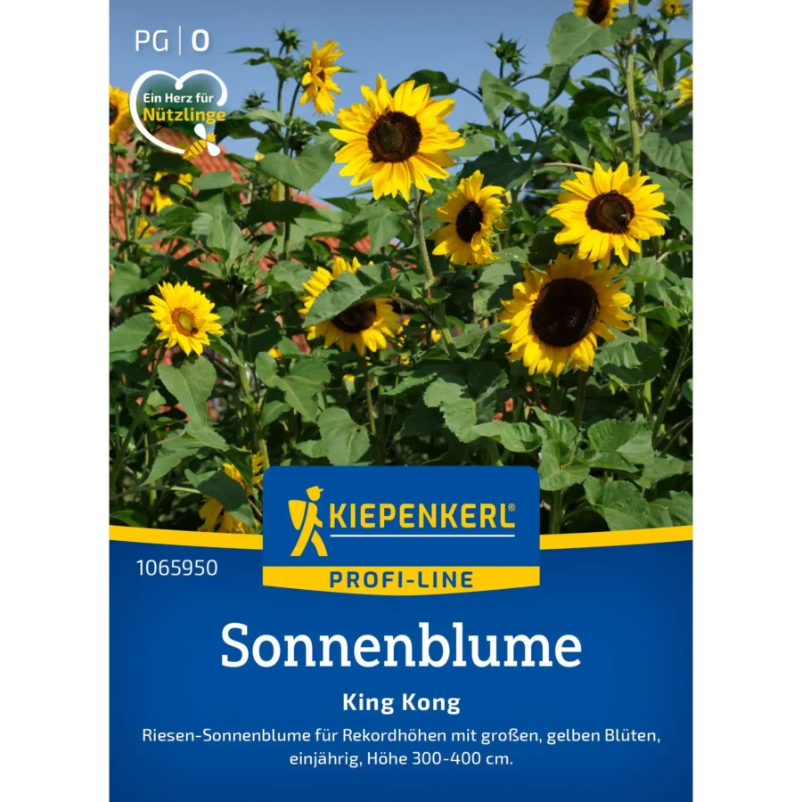 Kiepenkerl Sonnenblume King Kong - imposante, goldgelbe Blüten, ideal für Garten und Balkon, hoher Wuchsschutz und bienenfreundlich.