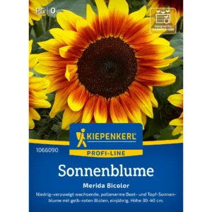 Sonnenblumensamen Merida Bicolor