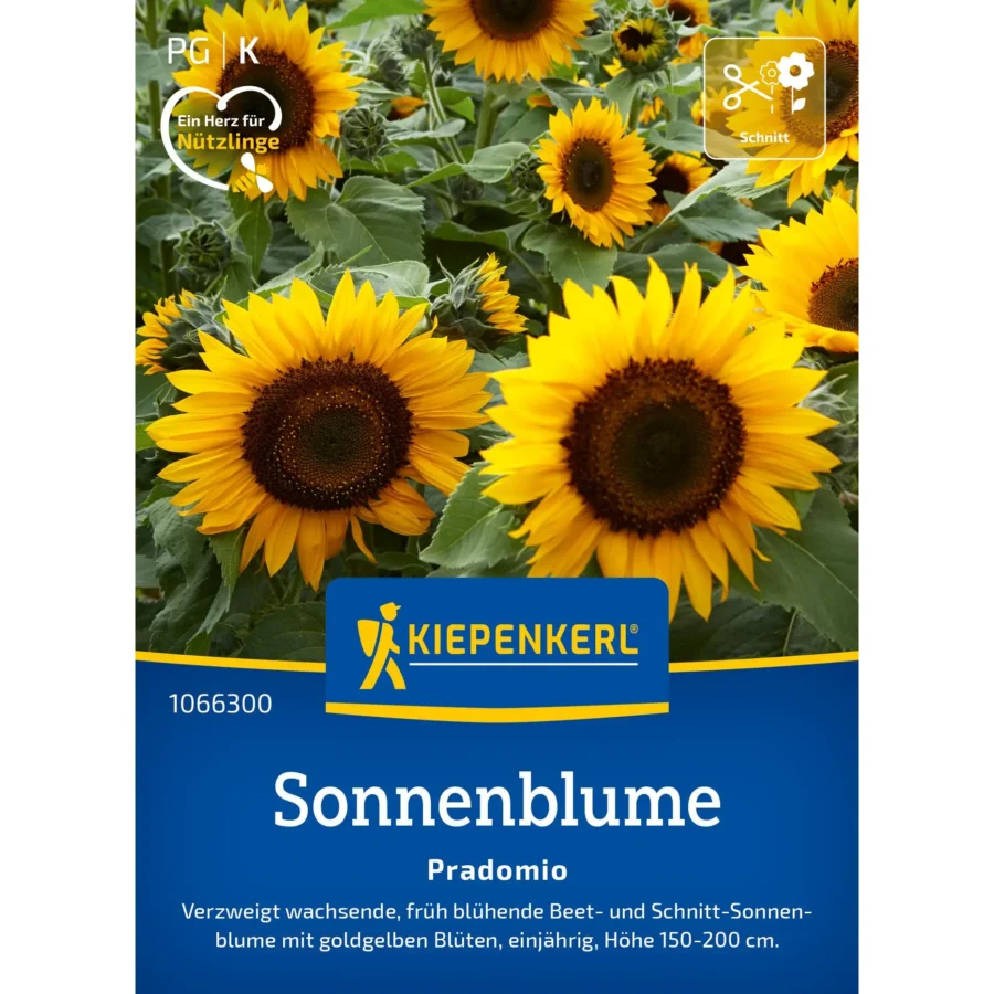Kiepenkerl Sonnenblume Pradomio, leuchtend gelb, ideal für bunte Gartenakzente, Höhe ca. 1,5 m, pflegeleicht und bienenfreundlich.