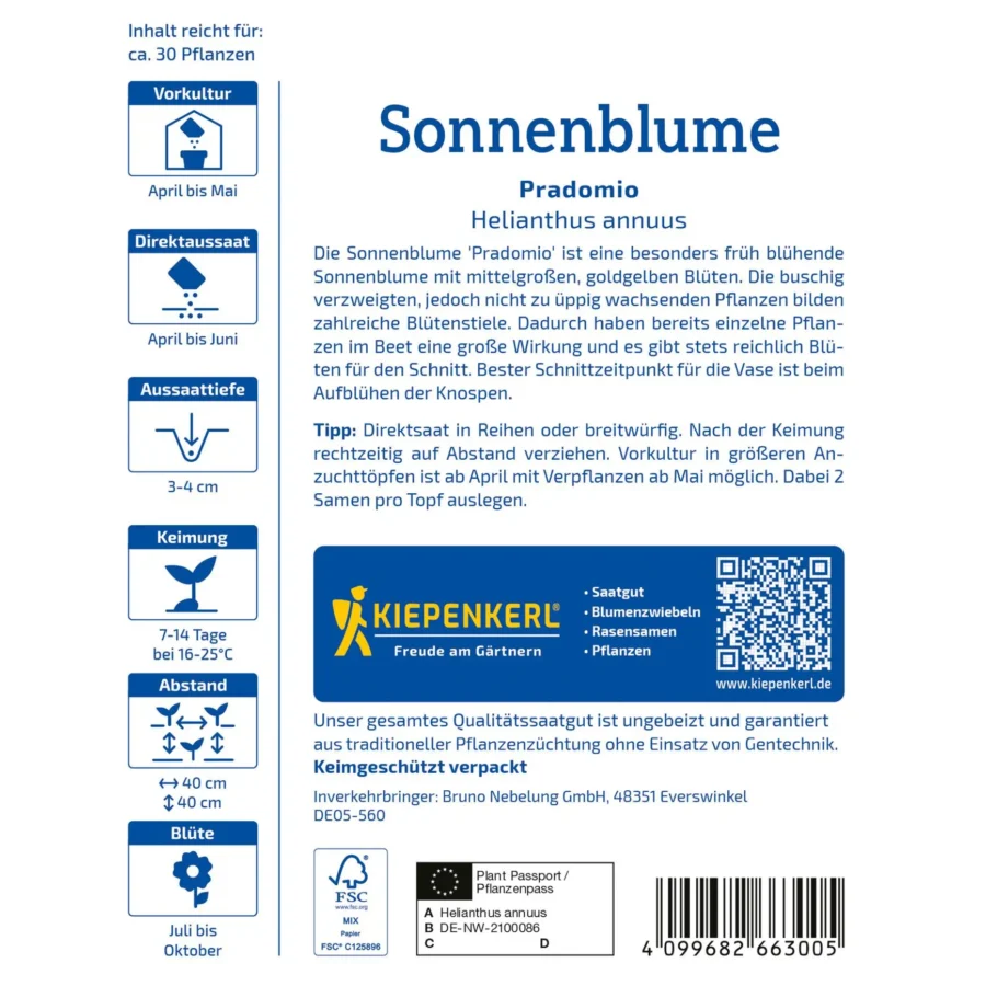 Kiepenkerl Sonnenblume Pradomio, leuchtend gelb, ideal für sonnige Gärten, robust und pflegeleicht, verleiht jedem Garten lebendige Farben.