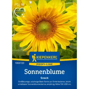 Sonnenblumensamen Snack