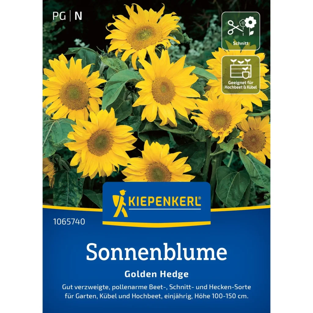 Kiepenkerl Sonnenblumensamen Golden Hedge, robust und mehrjährig, ideal für bunte Gartenakzente und Bienenschutz.