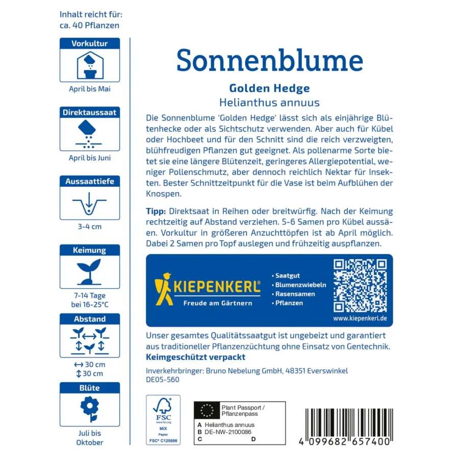 Sonnenblumensamen Golden Hedge, perfekt für sonnige Gärten, frühe Blüte und hohe Wuchshöhe, bringt Farbe und Lebensfreude!