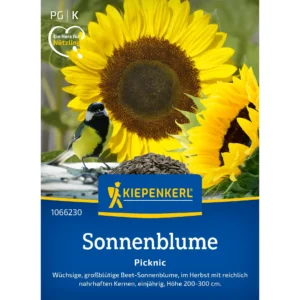 Sonnenblumensamen Vogel