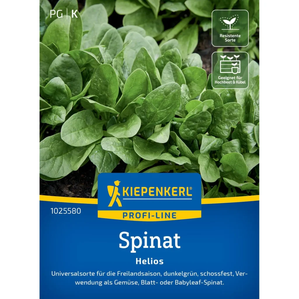 Kiepenkerl Spinat Helios F1, nährstoffreiche Samen für ertragreiche Ernten, ideal für Hausgärten und Hochbeete.