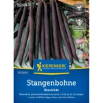 Stangenbohnensamen Blauhilde