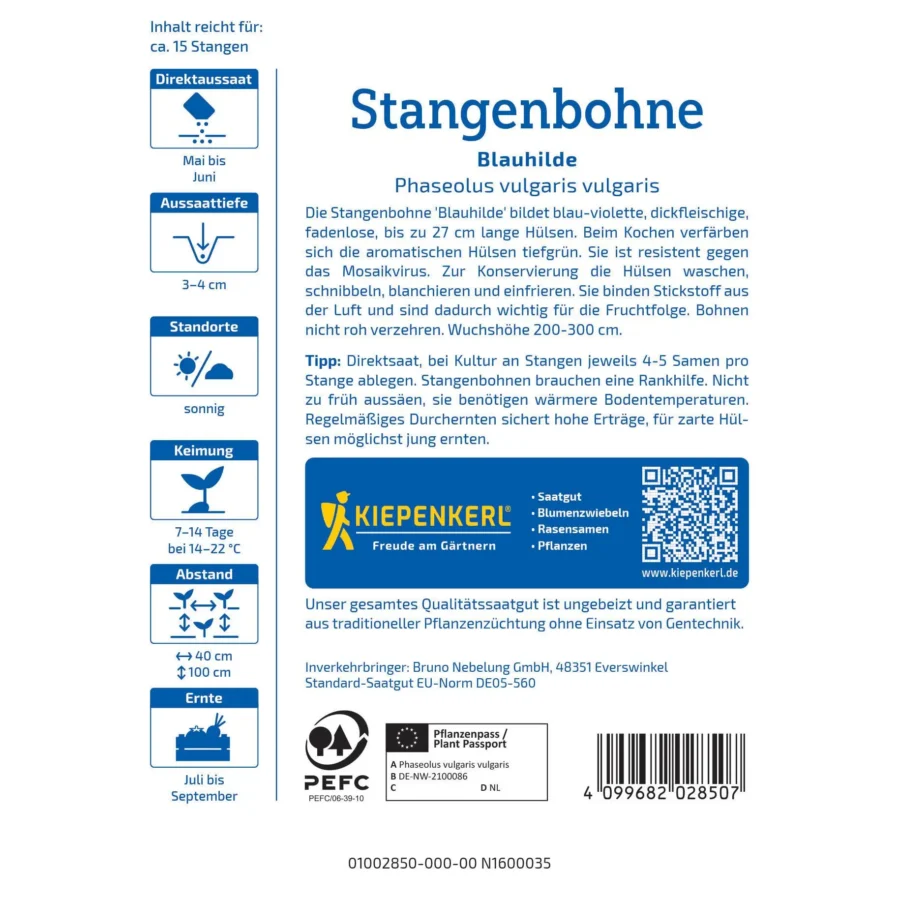 Kiepenkerl Stangenbohne Blauhilde, ertragreiche Bohnen-Sorte, dunkelviolett, ideal für Höhenlagen und Gartenbeete, kräftige Pflanzen mit hohem Ertrag.