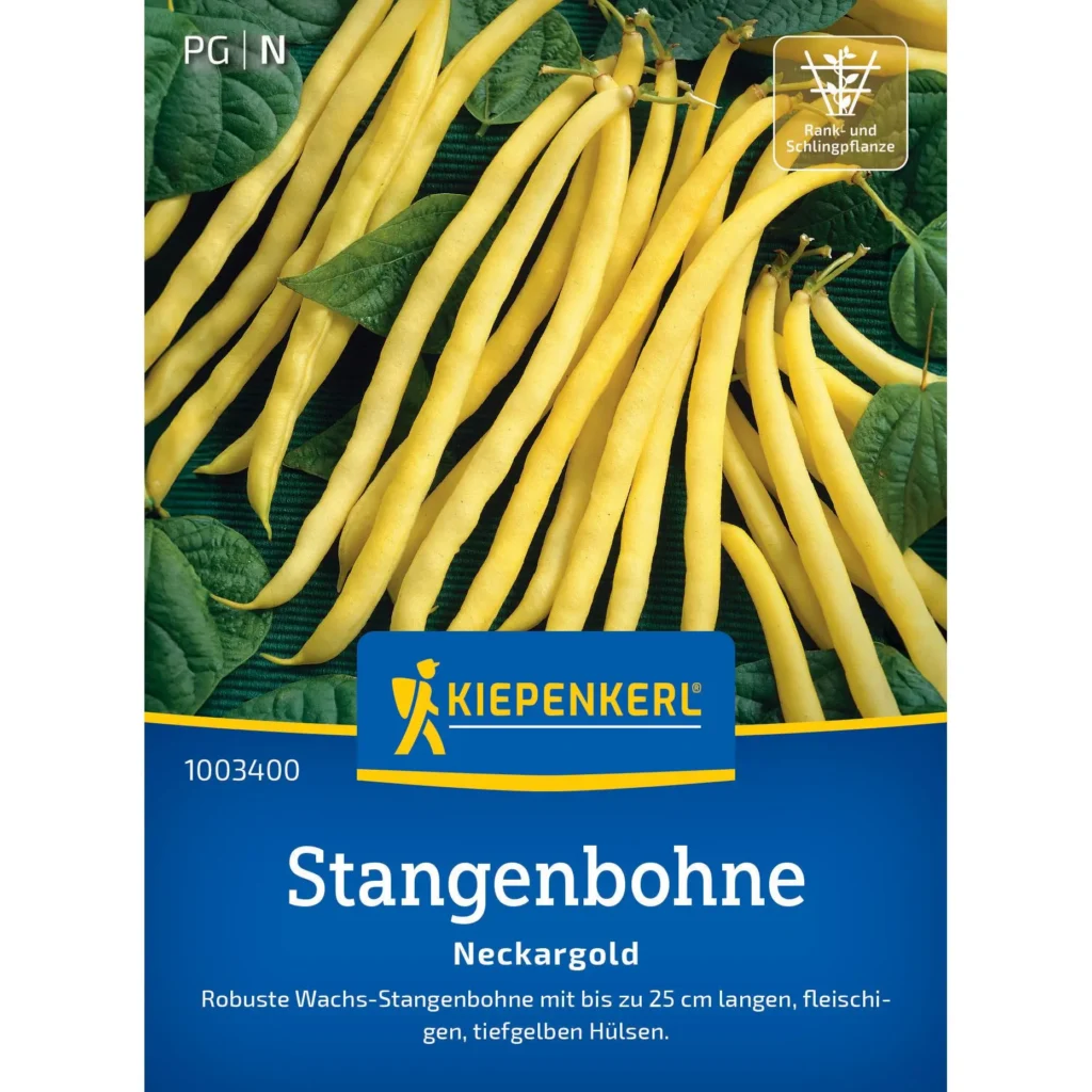 Kiepenkerl Stangenbohne Neckargold, ertragreiche Sorte, ideal für heimischen Garten, goldene Hülsen, 100% bio, ca. 60 cm hoch.