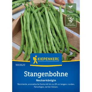 Stangenbohnensamen Neckarkönigin