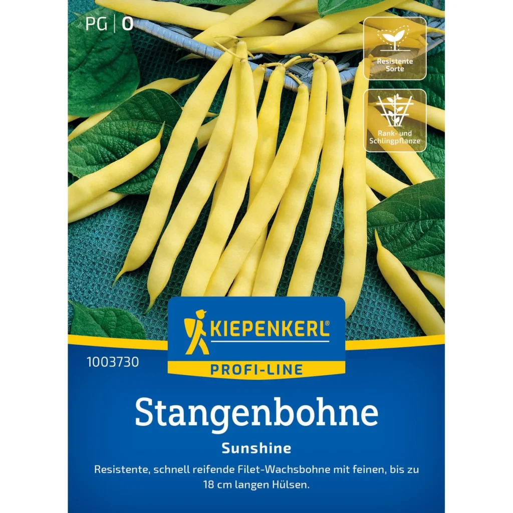 Kiepenkerl Stangenbohne Sunshine, gelbfleischige Bohnen, ideal für sonnige Gärten, robust und ertragreich.