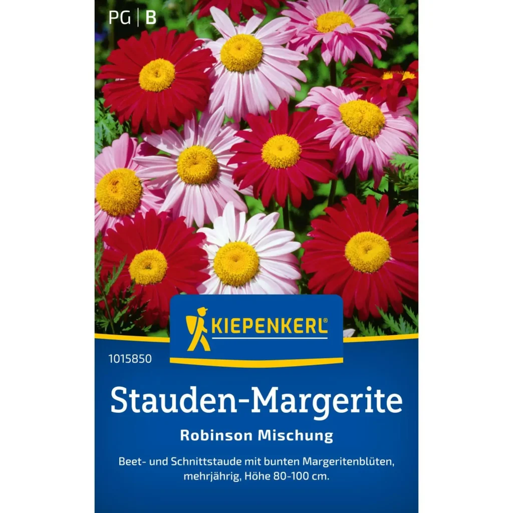 Kiepenkerl Stauden-Margerite Robinson-Mischung, farbenfrohe Blütenvielfalt für den Garten, ideal für attraktive Blumenbeete.