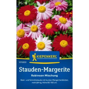 Stauden-Margeritensamen Robinson Mischung