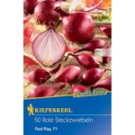 Steckzwiebel Red Ray