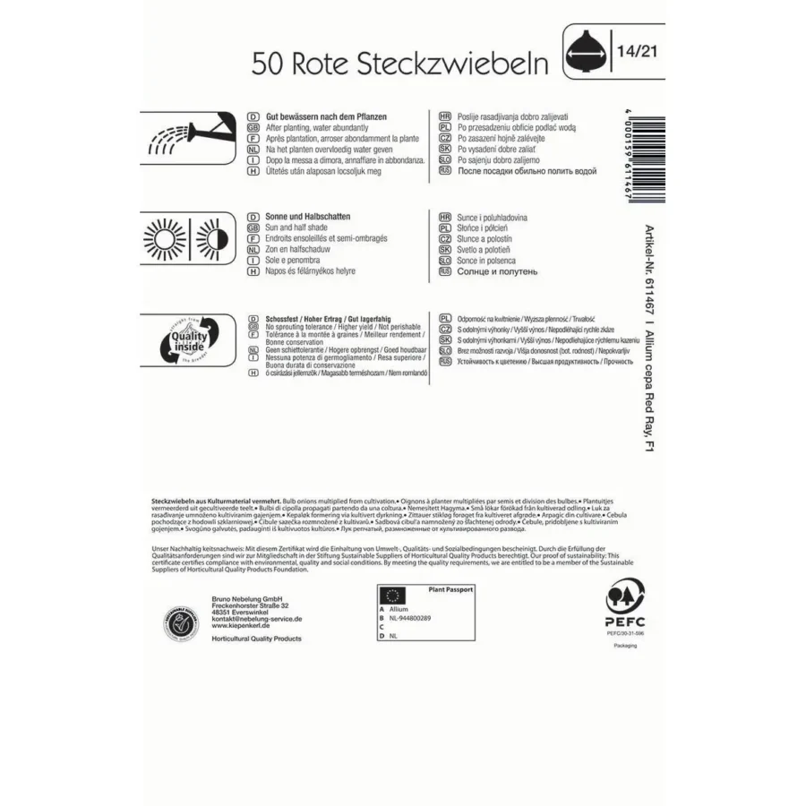 Kiepenkerl Steckzwiebel Red Ray, robuste rote Zwiebelpflanze, ideal für gesundes Kochen und heimische Gartenprojekte, 500g.