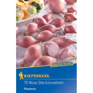 Steckzwiebel Rosanna