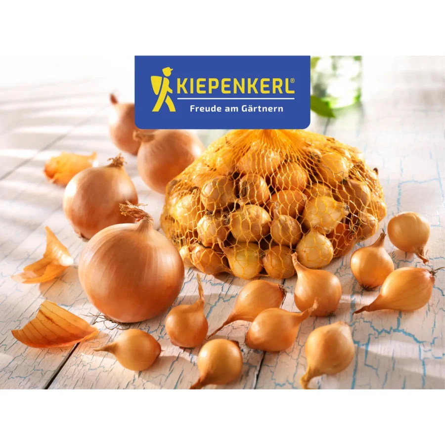 Kiepenkerl Steckzwiebeln Stuttgarter Riesen, 250g, ideal für ertragreiche Zwiebelernte im Garten.