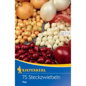 Steckzwiebeltrio