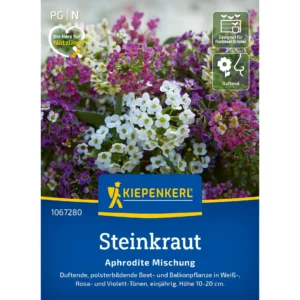 Steinkrautsamen Aphrodite Mischung