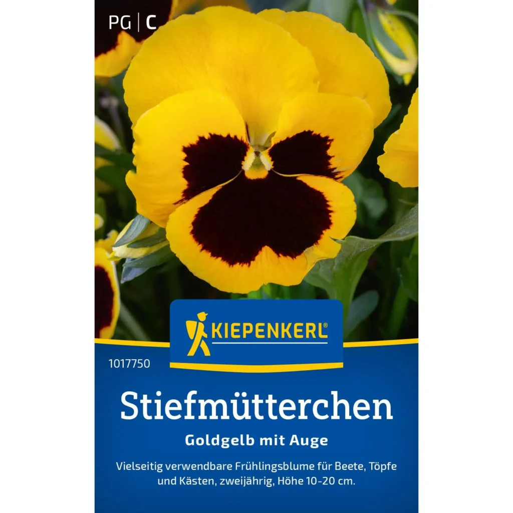 Kiepenkerl Stiefmütterchen Goldgelb mit Auge, blühende Pflanze für bunte Beete, robust und pflegeleicht, ideal für fröhliche Gartenakzente.