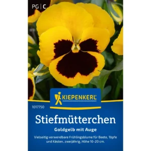 Stiefmütterchensamen Goldgelb mit Auge