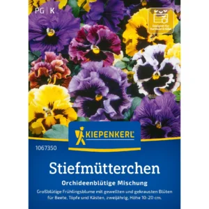 Stiefmütterchensamen Orchideenblütige Mischung