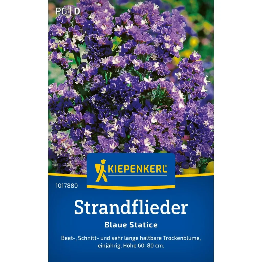 Kiepenkerl Strandfliedersamen, blaue Statice, für farbenfrohe Blumenbeete, pflegeleicht und ideal für sonnige Standorte.