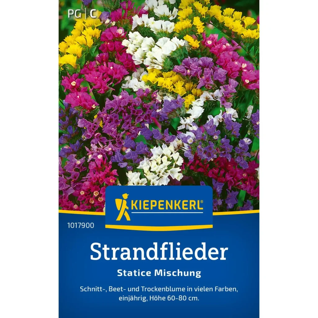 Kiepenkerl Strandfliedersamen-Mischung, farbenfrohe Blütenpracht, ideal für sonnige Beete und Kübel, robust und pflegeleicht.