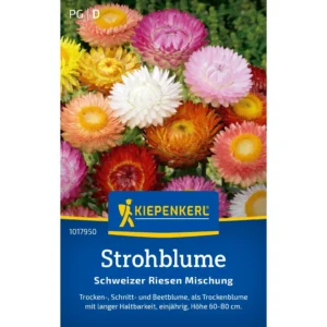 Strohblumensamen Schweizer Riesen Mischung