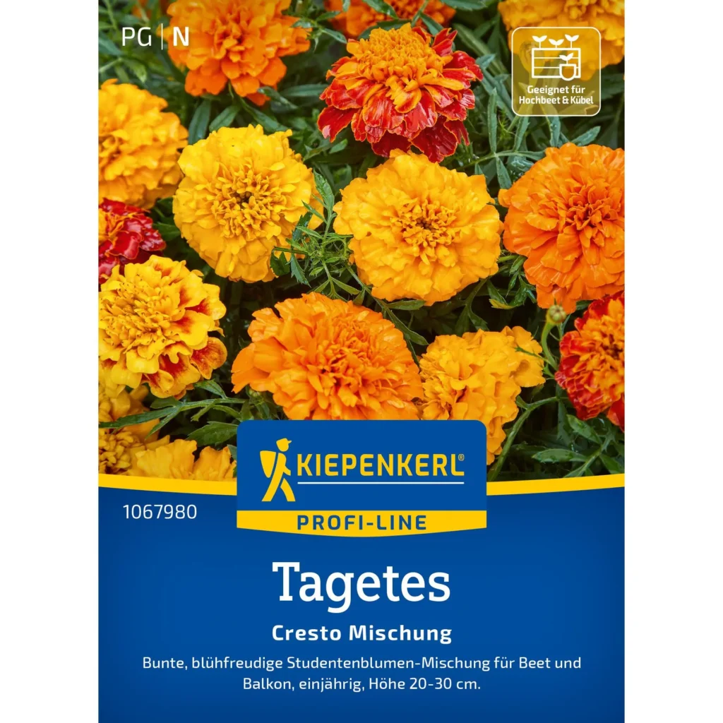 Kiepenkerl Tagetes Cresto Mischung, leuchtende Blütenfarbe, ideal für Balkon und Garten, robust und pflegeleicht, 1 Portion für üppige Blütenpracht.